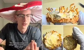 این فرد «قارچ های زامبی» را با خون و پوست خود پرورش داده است!