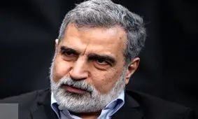  بازرسی‌های اخیر آژانس با اجازه شورای عالی امنیت ملی بوده است

