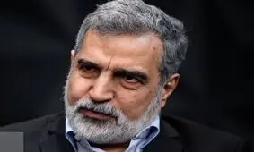  بازرسی‌های اخیر آژانس با اجازه شورای عالی امنیت ملی بوده است

