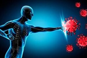 ۴ خوراکی جادویی برای تقویت سیستم ایمنی بدن