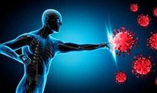 ۴ خوراکی جادویی برای تقویت سیستم ایمنی بدن