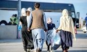 هیچ یک از اتباع افغانستانی نفوذی نبودند/ رفت و آمد تسلیحات در منطقه برای ایجاد ترس است