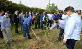 کاشت نهال مثمر در شرکت خمیرمایه و الکل رازی