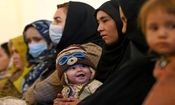 ٤٠٠ هزار نفر تبعه خارجی در استان کرمان