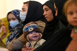 ٤٠٠ هزار نفر تبعه خارجی در استان کرمان