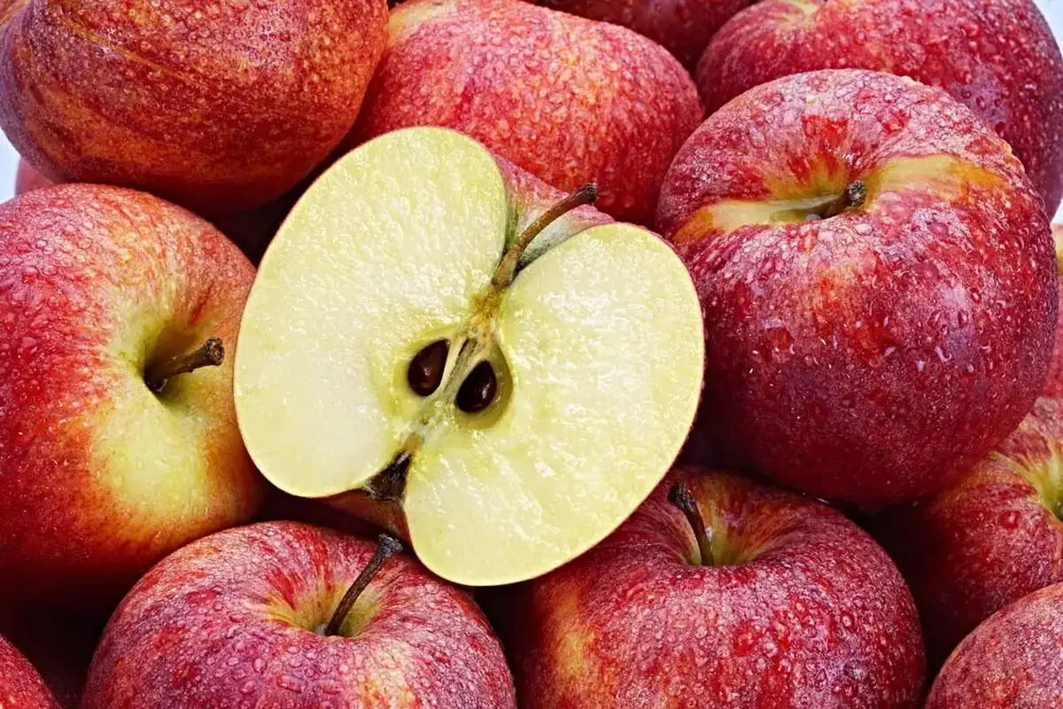 همه چیز در مورد سیانور موجود در هسته سیب؛ چند سیب برای کُشتن ما کافی است؟