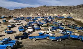 گزارشی تکان دهنده از یک شغل خطرناک در سیستان و بلوچستان