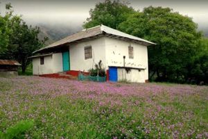 روستایی زیبا و بکر در شمال که هرچه زودتر باید آن را ببینید