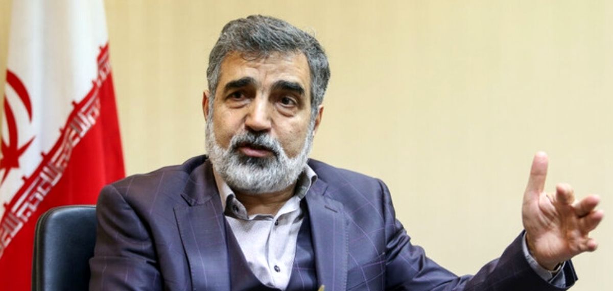  کمالوندی: ایران تنها کشوری نیست که غنی سازی می‌کند و سلاح هسته ای ندارد 