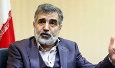 کمالوندی: ایران تنها کشوری نیست که غنی سازی می‌کند و سلاح هسته ای ندارد