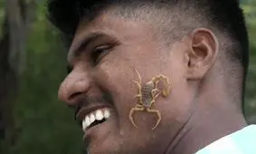 چرا هندو‌ها عقرب‌ های زنده روی صورت و زبان خود می‌گذارند/ ویدئو