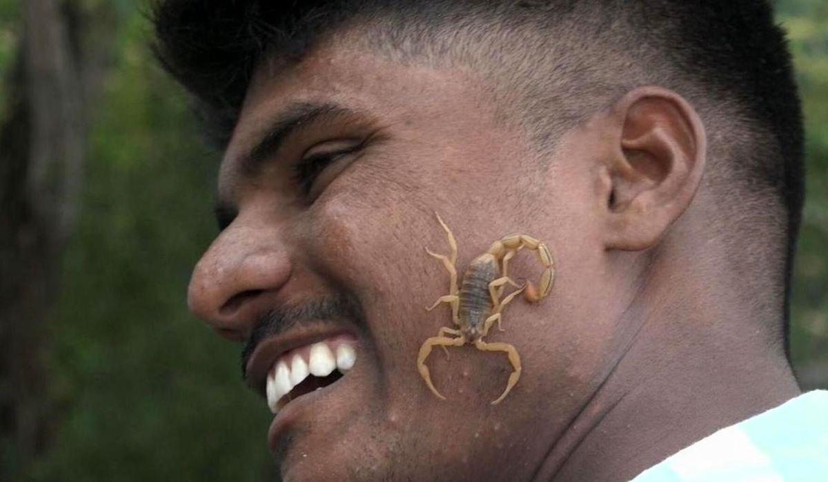 چرا هندوها عقرب های زنده روی صورت و زبان خود میگذارند/ ویدئو