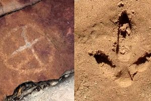 کشف سنگ‌نگاره‌های باستانی از انسان‌های ماقبل تاریخ در کنار ردپای دایناسورها در برزیل