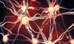 «هورمون عشق» بر فشار خون در طول کم اکسیژنی تاثیر می‌گذارد

