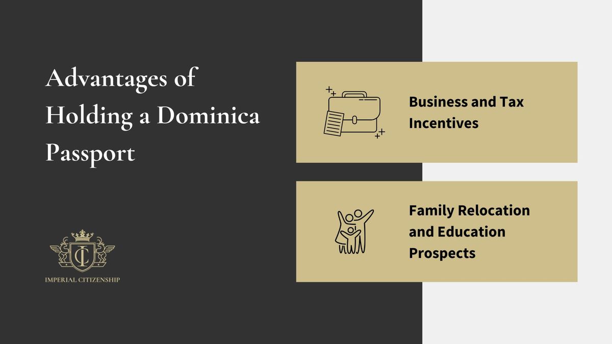 طعم شیرین زندگی بدون مالیات: مزایای اقتصادی پاسپورت دومینیکا
