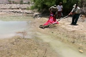 سیل‌زدگان بلوچستان مراقب حمله گاندوها باشند