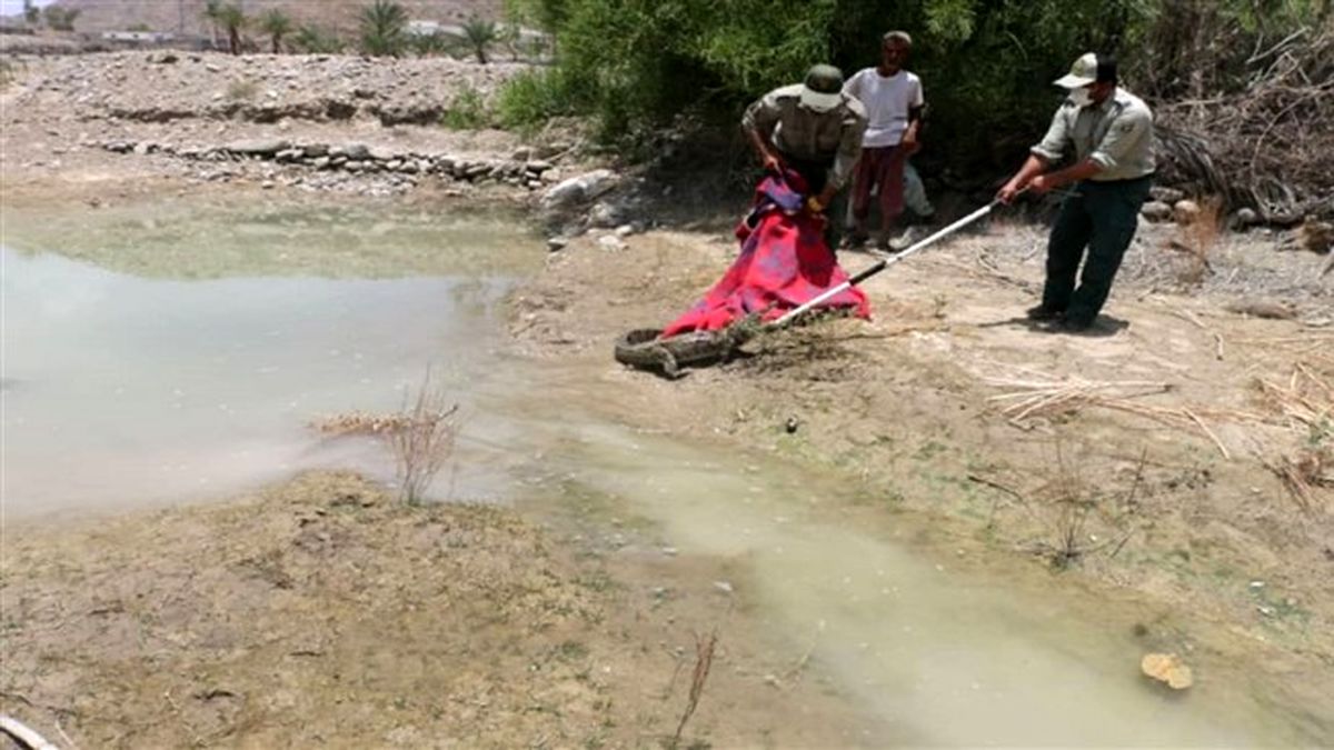 سیل‌زدگان بلوچستان مراقب حمله گاندوها باشند