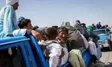 انهدام یکی از بزرگترین شبکه‌های انتقال اتباع غیرمجاز کشور