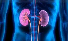 بیماری کلیه پلی کیستیک چیست؟