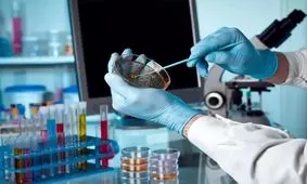 ۸۰ درصد بیماری‌های نادر، ژنتیکی است