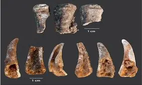 نئاندرتال‌ها ۹۰ هزار سال قبل شام چه می‌خوردند؟!