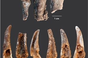 نئاندرتال‌ها ۹۰ هزار سال قبل شام چه می‌خوردند؟!