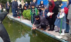 آتش سوزی‌، شکار و ماهی‌های مهاجم؛ تهدیدهای روز طبیعت
