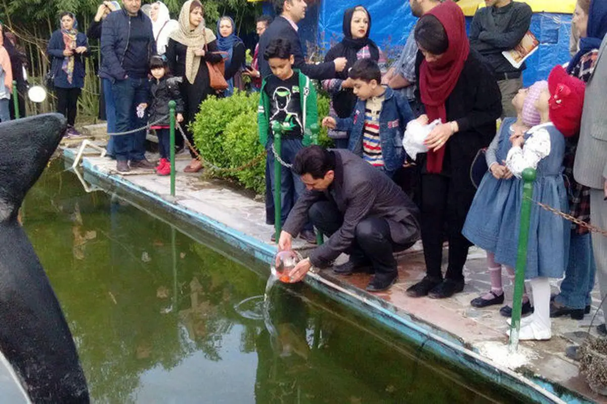 آتش سوزی‌، شکار و ماهی‌های مهاجم؛ تهدیدهای روز طبیعت
