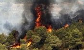 آتش به جان جنگل‌های مرزن آباد چالوس افتاد