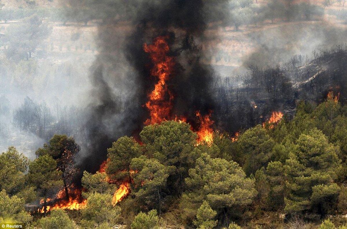 آتش به جان جنگل‌های مرزن آباد چالوس افتاد