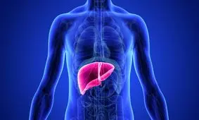 تمیز کننده کبد و کلیه این میوه است