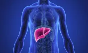 تمیز کننده کبد و کلیه این میوه است