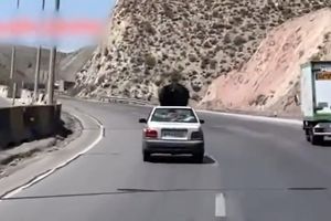 توقیف خودرو به دلیل حرکت خطرناک زن بدلکار/ ویدئو