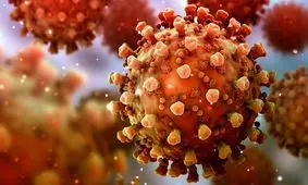 گرما بر پیک جدید کرونا موثر است؟