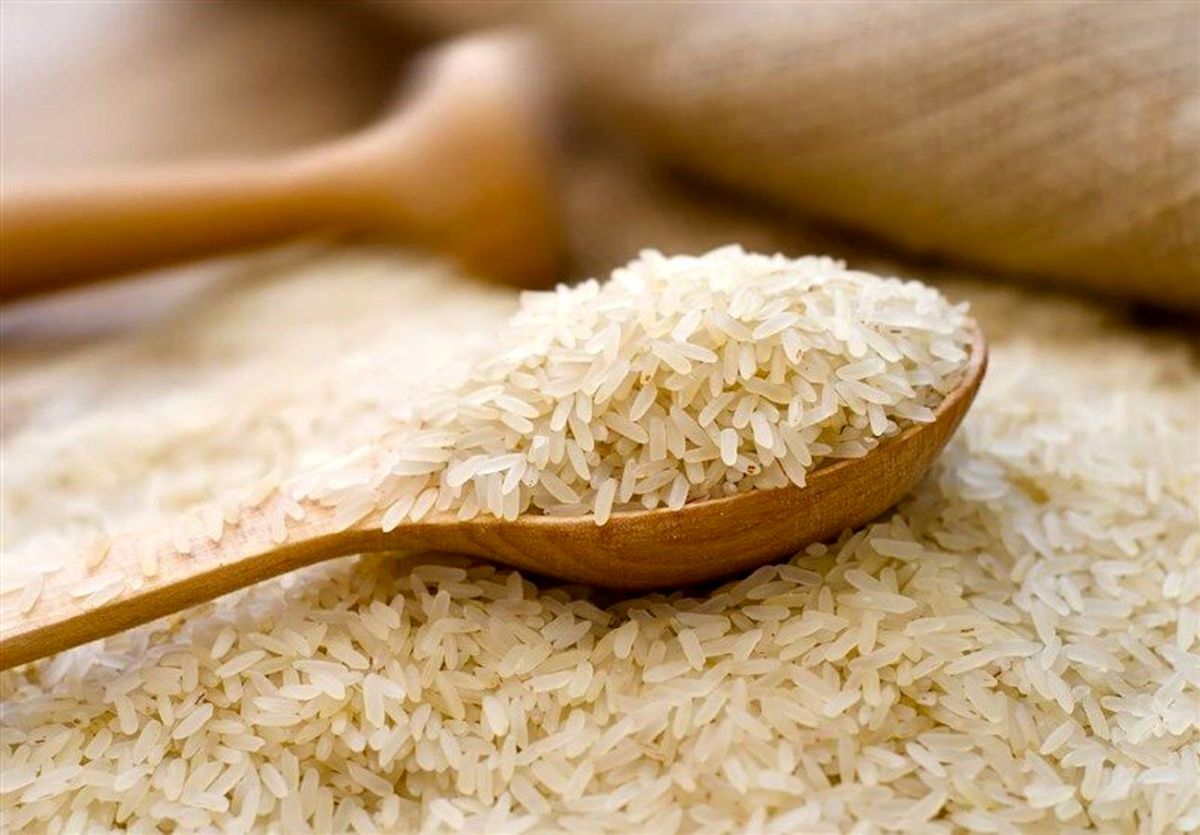 برنج های ایرانی موجود در بازار مخلوط است/ قیمت برنج خالص ایرانی کیلویی ۲۰۰ هزار تومان!