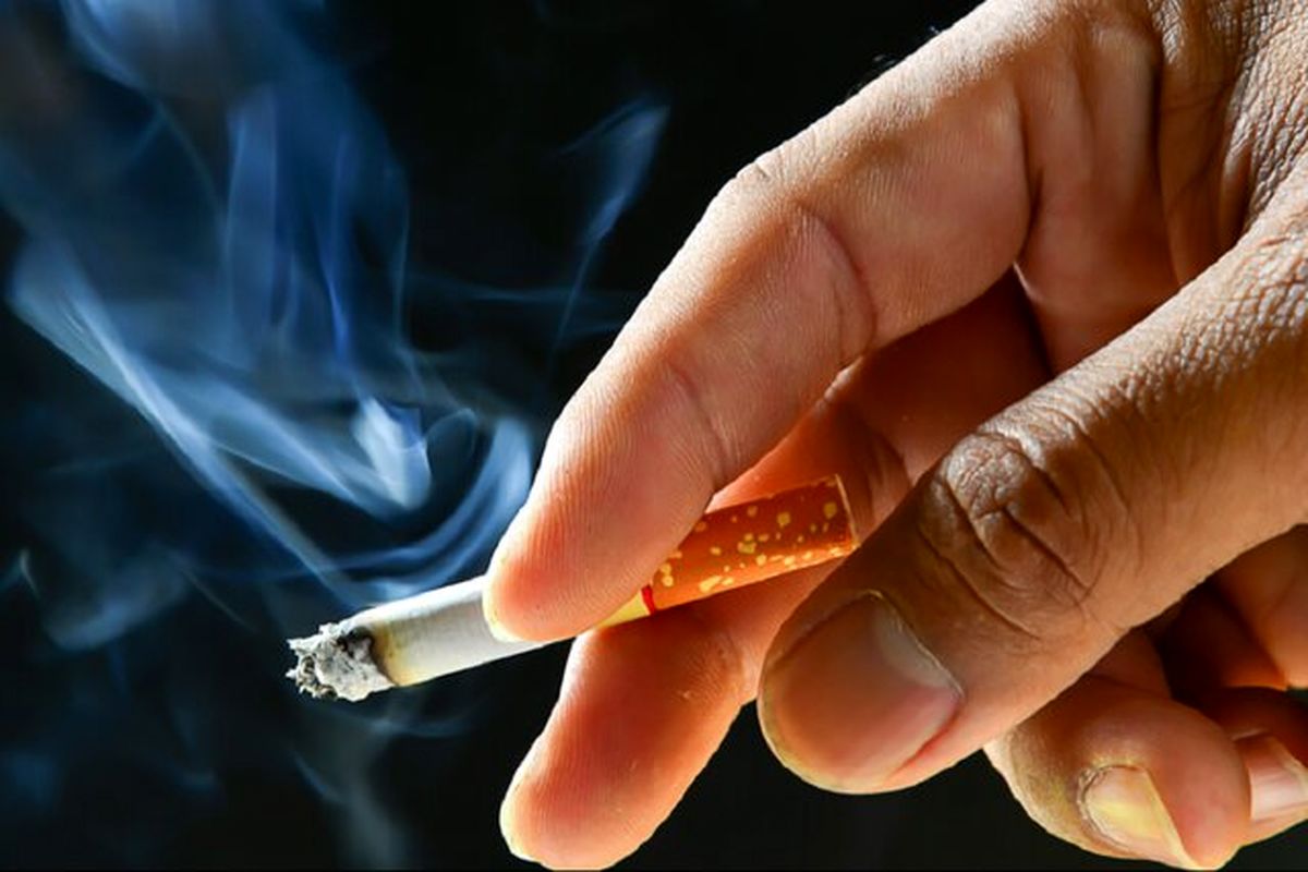 سیگاری ها 2/5 همت بیشتر از فروشندگان مسکن و زمین مالیات داده اند!