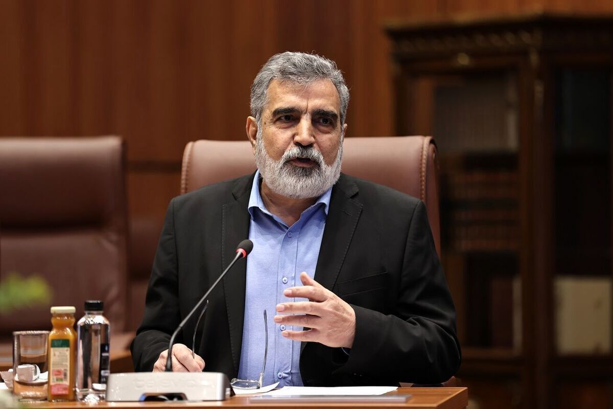  کمالوندی: خسارت محدودی به برخی نواحی در فردو وارد شده است 