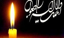 پیام تسلیت وزارت ارشاد در پی شهادت سروناز واعظ‌زاده