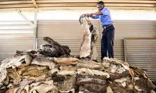 جزئیات یک تجارت وحشتناک اما پرسود
