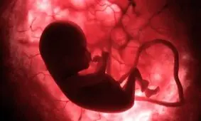 دستگیری ۳ عضو باند سقط غیرقانونی جنین در بیرجند