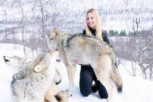 دوستی عجیب و غریب یک زن با گرگ‌های وحشی 