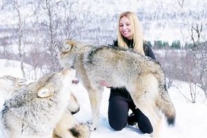 دوستی عجیب و غریب یک زن با گرگ‌های وحشی 