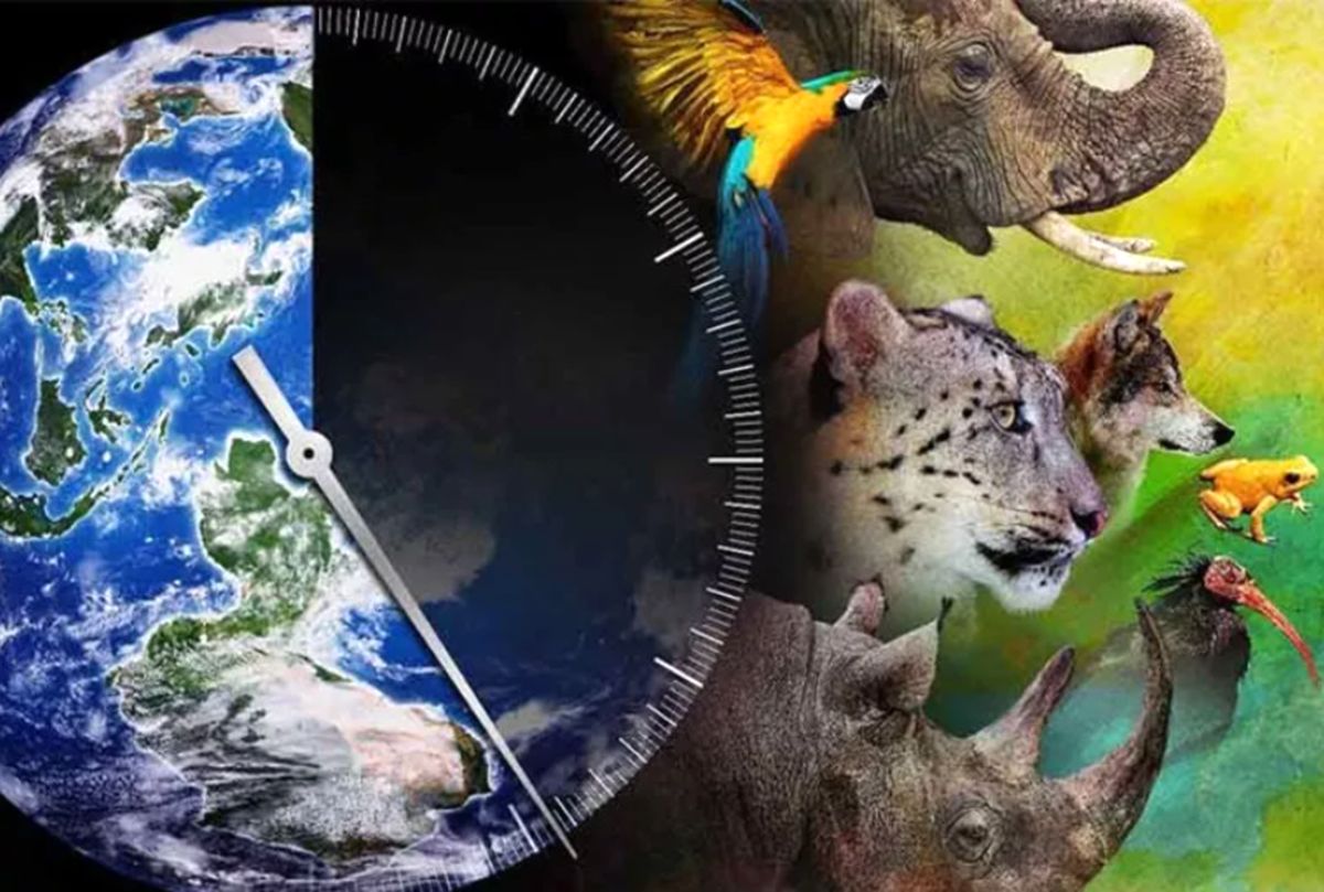 ۷ گونه جانوریِ در حال انقراض در جهان