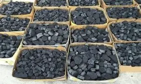 دستگاه تولید "زغال فشرده" بدون نیاز به قطع درختان