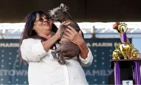 زشت ترین سگ دنیا را بشناسید