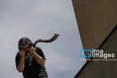 172879668_MAS11918
