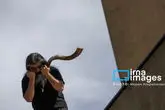 172879668_MAS11918