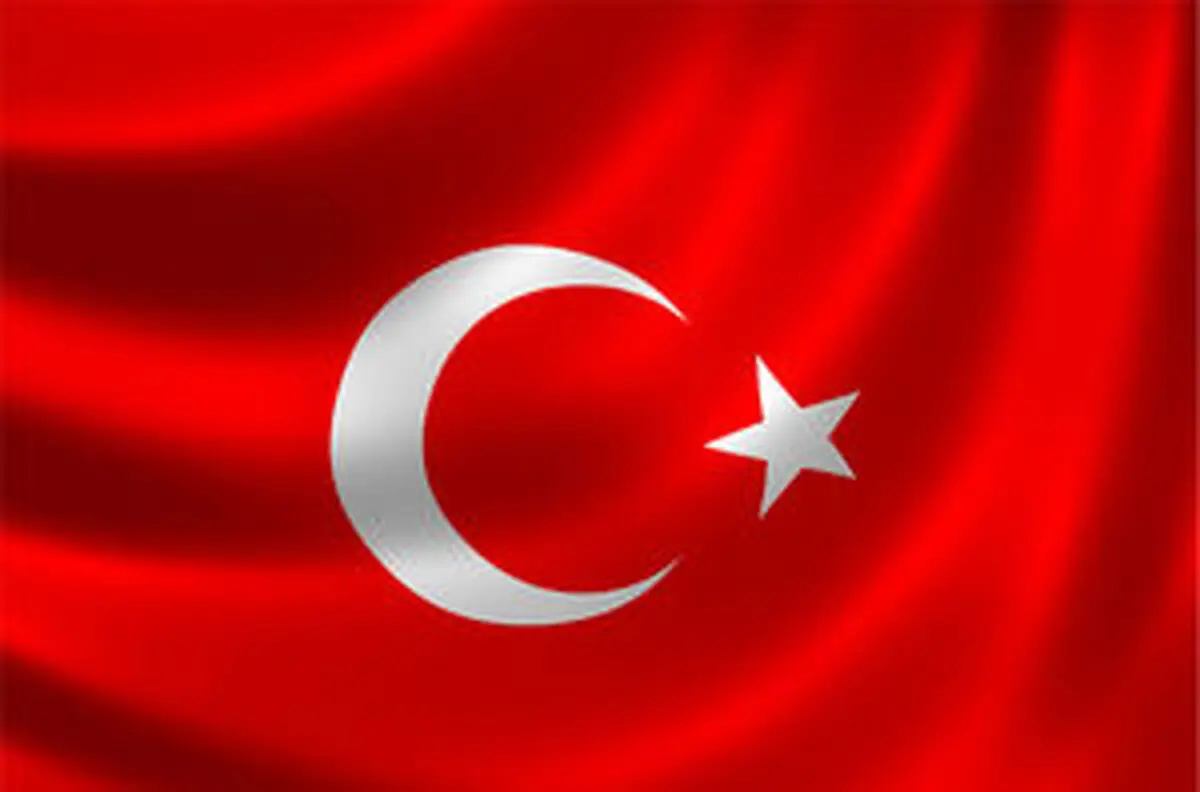 بازداشت یک شهرک‌‎نشین صهیونیست در استانبول به جرم توهین به اردوغان
