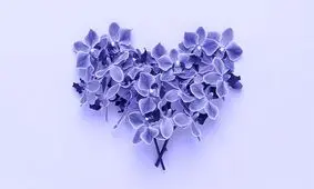 رنگ سال ۲۰۲۲ چیست و دلیل انتخاب آن چه بوده است؟