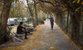 چرا امسال بارش پاییزی نداشتیم؟/ ویدئو